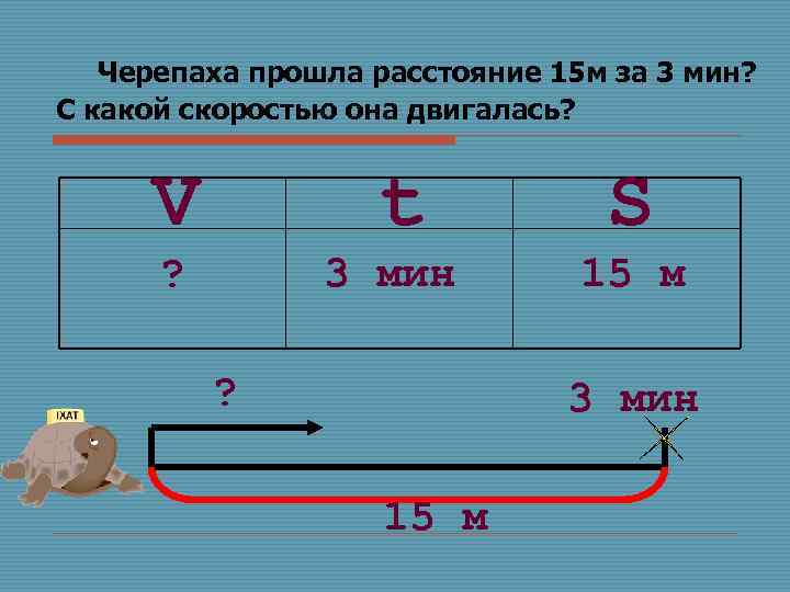 Черепаха прошла расстояние 15 м за 3 мин? С какой скоростью она двигалась? V