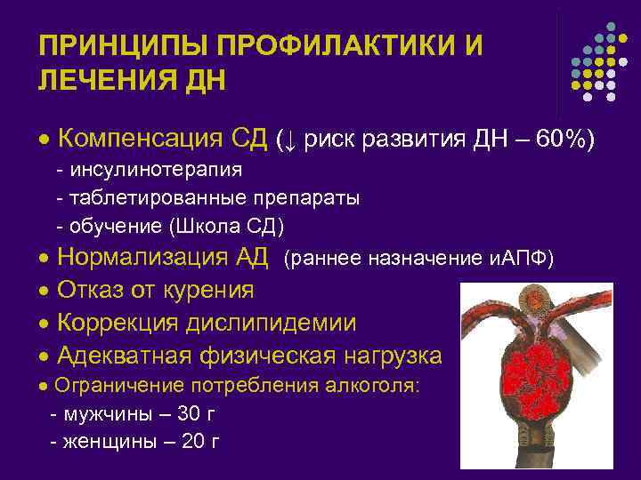 ПРИНЦИПЫ ПРОФИЛАКТИКИ И ЛЕЧЕНИЯ ДН Компенсация СД (↓ риск развития ДН – 60%) -