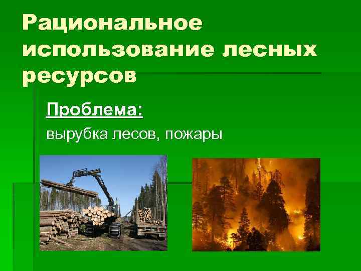 Рациональное использование лесных ресурсов Проблема: вырубка лесов, пожары 