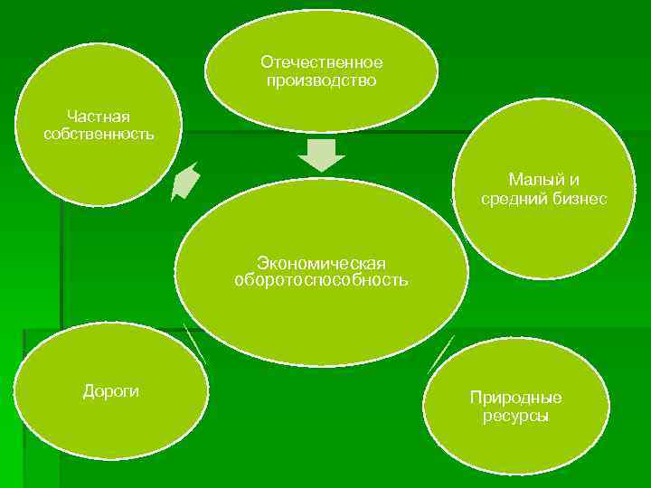 Отечественное производство Частная собственность Малый и средний бизнес Экономическая оборотоспособность Дороги Природные ресурсы 