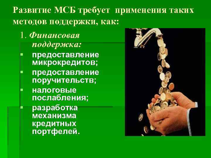 Развитие МСБ требует применения таких методов поддержки, как: 1. Финансовая поддержка: § предоставление микрокредитов;