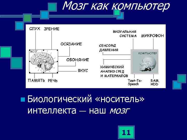 Мозг как компьютер n Биологический «носитель» интеллекта — наш мозг 11 