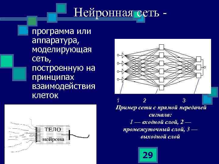 Нейронная сеть n программа или аппаратура, моделирующая сеть, построенную на принципах взаимодействия клеток 1