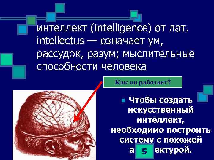 интеллект (intelligence) от лат. intellectus — означает ум, рассудок, разум; мыслительные способности человека Как