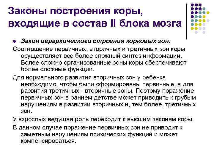 Законы построения коры, входящие в соcтав II блока мозга Закон иерархического строения корковых зон.