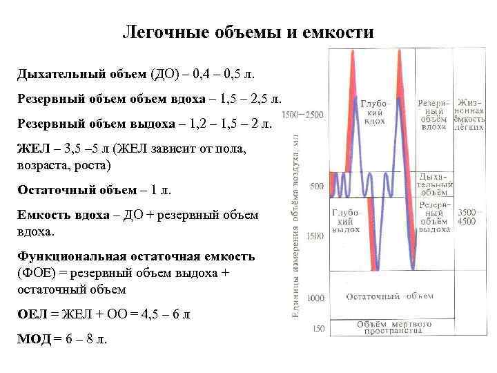 Дыхательный объем легких. Резервный объем выдоха норма. Спирометрия резервный объем вдоха. Pезеpвный объем выдоха + остаточный объем составляют. Резервный объем вдоха норма.