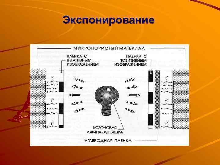 Экспонирование 