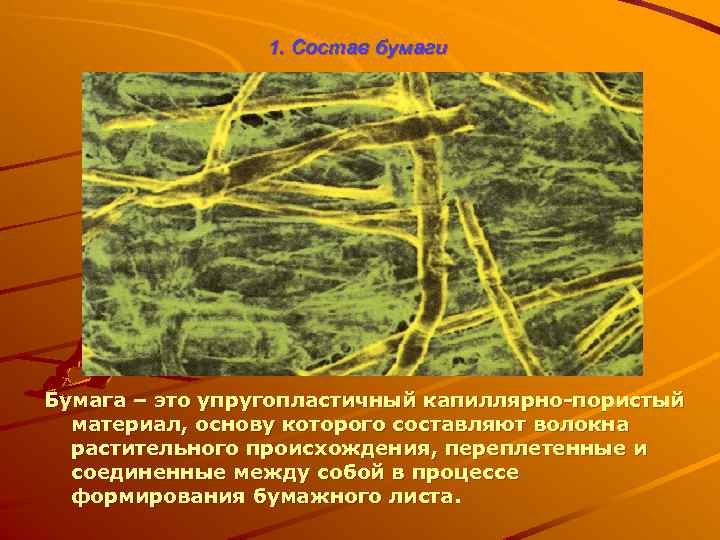 1. Состав бумаги Бумага – это упругопластичный капиллярно-пористый материал, основу которого составляют волокна растительного