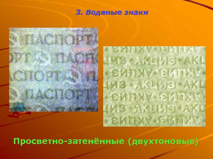 3. Водяные знаки Просветно-затенённые (двухтоновые) 