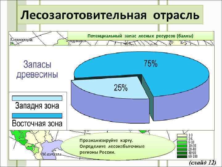 Лесозаготовительная отрасль Потенциальный запас лесных ресурсов (баллы) Проанализируйте карту. Определите лесоизбыточные регионы России. (слайд