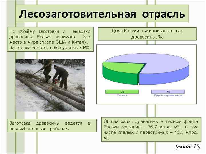 Лесозаготовительная отрасль По объёму заготовки и вывозки древесины Россия занимает 3 -е место в