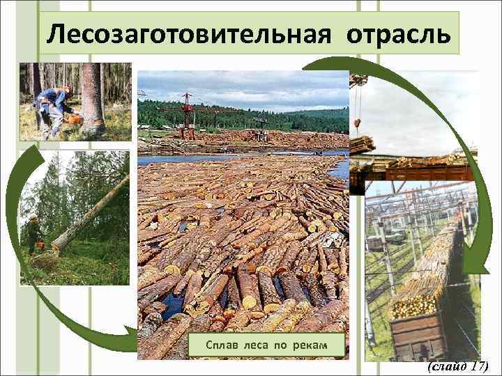 Лесозаготовительная отрасль Сплав леса по рекам (слайд 17) 