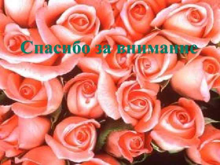 Спасибо за внимание 