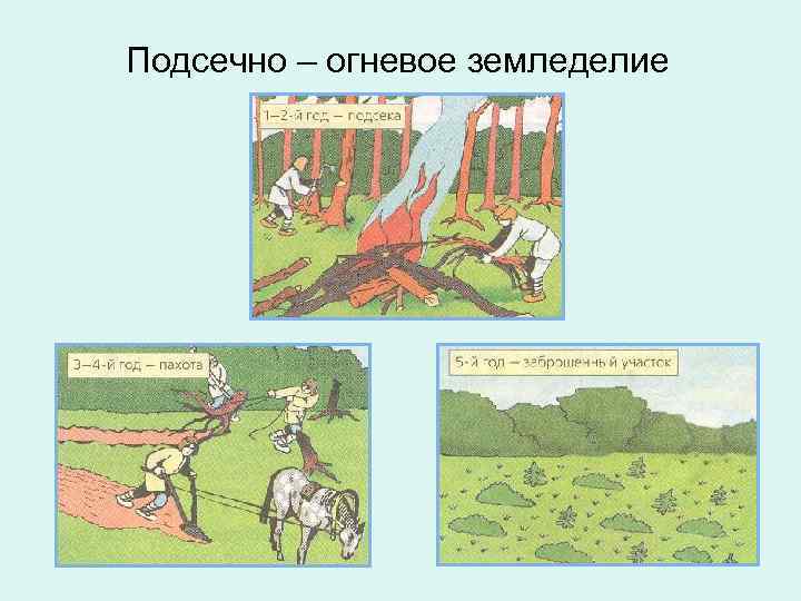 Подсечно – огневое земледелие 
