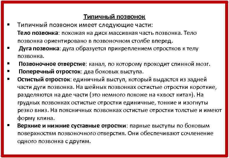 § § § Типичный позвонок имеет следующие части: Тело позвонка: похожая на диск массивная