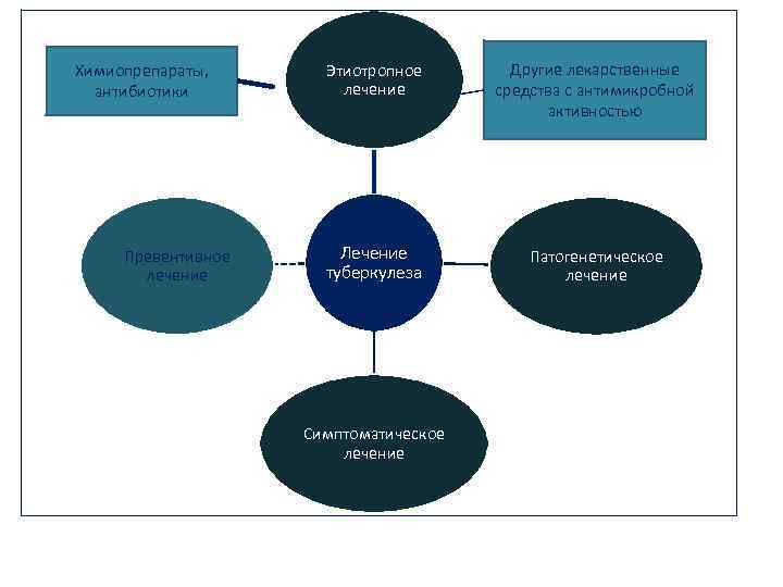 Химиопрепараты, антибиотики Превентивное лечение Этиотропное лечение Другие лекарственные средства с антимикробной активностью Лечение туберкулеза