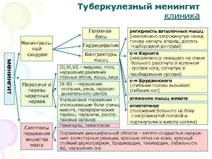 Туберкулезный менингит клиника Головная боль Менингиальный синдром Гидроцефалия Контрактуры мышц III, VII - мидриаз,