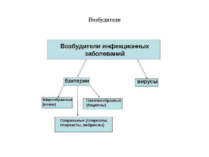 Возбудители 