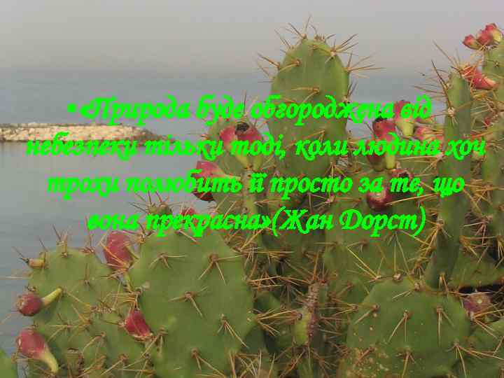  • «Природа буде обгороджена від небезпеки тільки тоді, коли людина хоч трохи полюбить