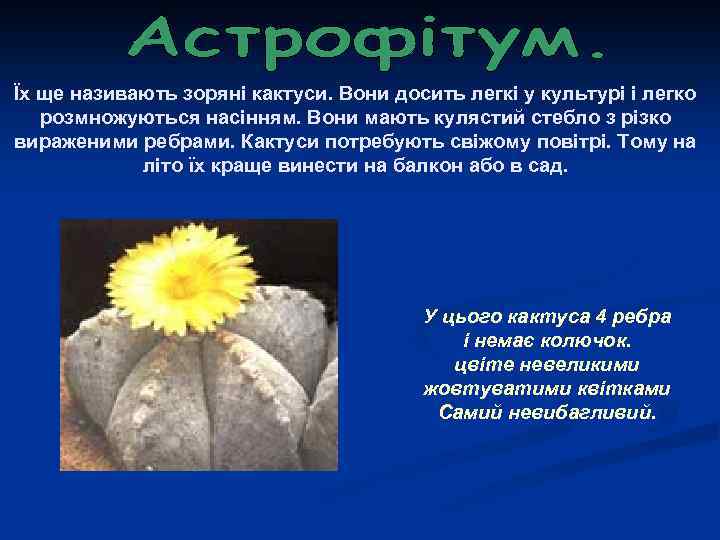 Їх ще називають зоряні кактуси. Вони досить легкі у культурі і легко розмножуються насінням.