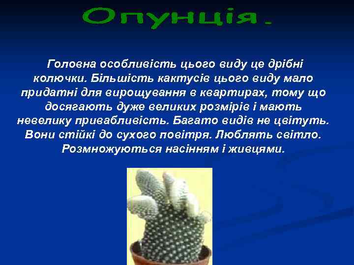  Головна особливість цього виду це дрібні колючки. Більшість кактусів цього виду мало придатні