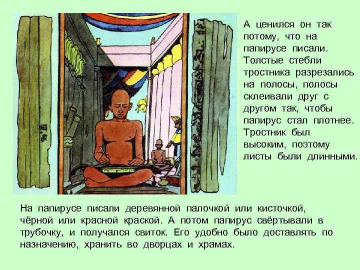 А ценился он так потому, что на папирусе писали. Толстые стебли тростника разрезались на