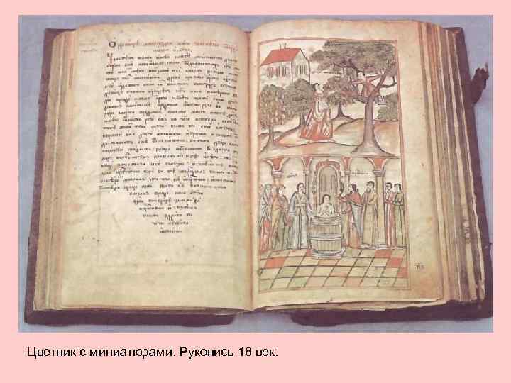 Цветник с миниатюрами. Рукопись 18 век. 