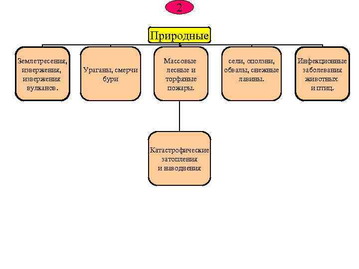 2 Природные Землетресения, извержения вулканов. Ураганы, смерчи бури Массовые лесные и торфяные пожары. Катастрофические