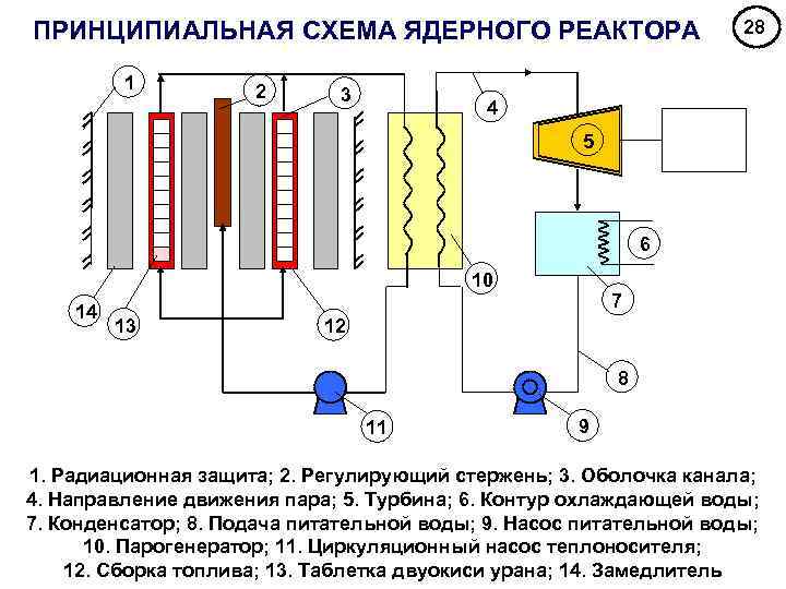 ПРИНЦИПИАЛЬНАЯ СХЕМА ЯДЕРНОГО РЕАКТОРА 1 2 3 28 4 5 6 10 14 13