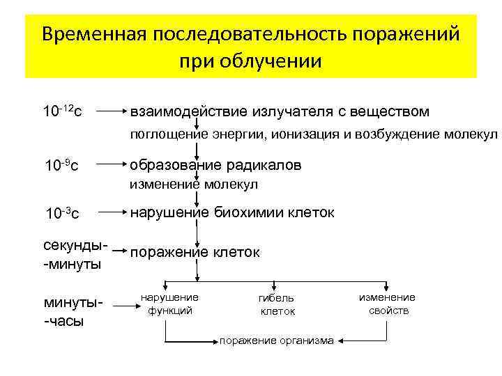 Временная последовательность поражений при облучении 10 -12 с взаимодействие излучателя с веществом поглощение энергии,