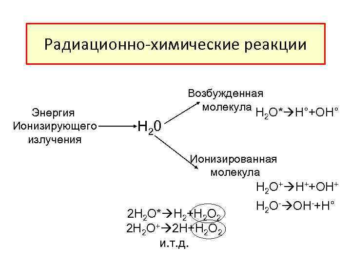 Радиационно-химические реакции Энергия Ионизирующего излучения Возбужденная молекула H 2 O* H°+OH° H 20 Ионизированная