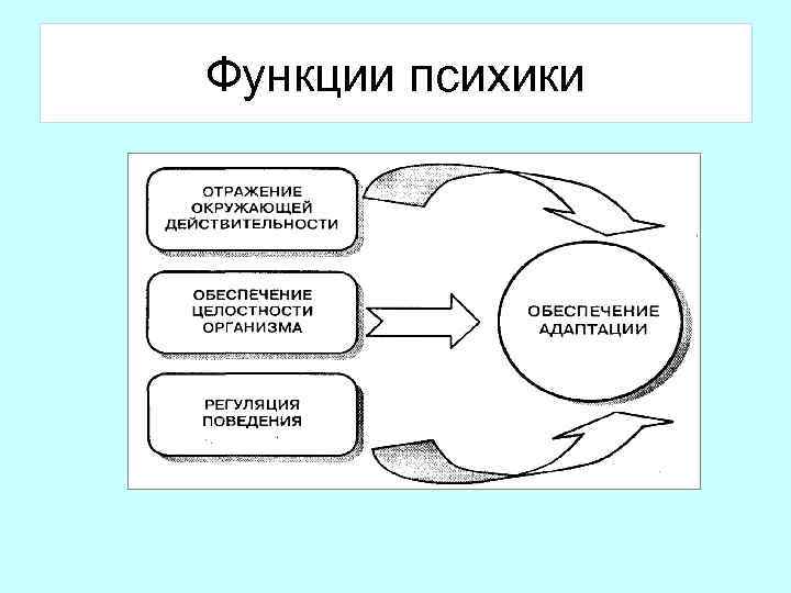 Функционирование психики