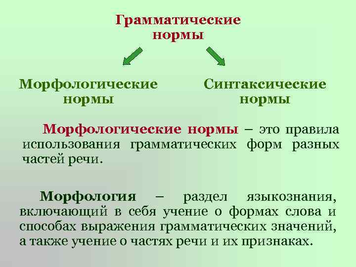 Грамматические нормы определяют. Грамматические нормы русского языка.