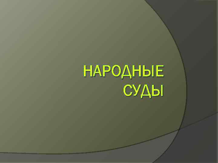 НАРОДНЫЕ СУДЫ 