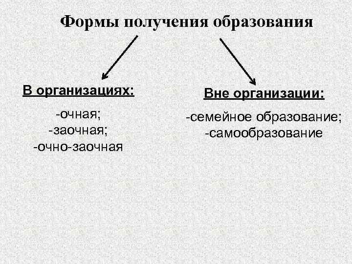 Формы получения образования В организациях: Вне организации: -очная; -заочная; -очно-заочная -семейное образование; -самообразование 