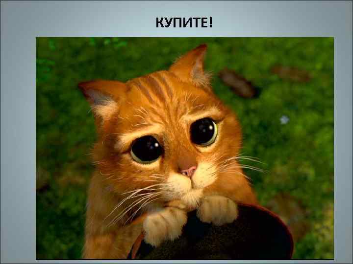 КУПИТЕ! 