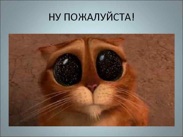 НУ ПОЖАЛУЙСТА! 