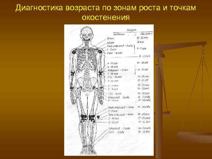 Диагностика возраста