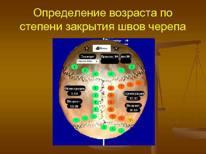 Измерение возраста