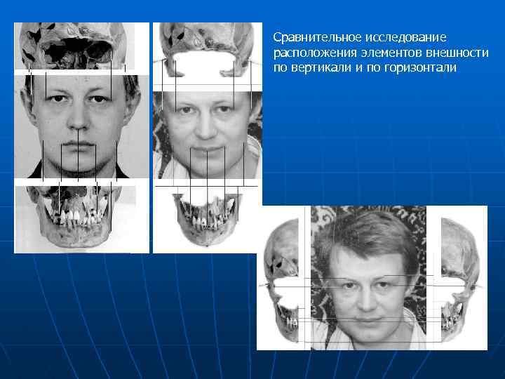 Сравнительное исследование расположения элементов внешности по вертикали и по горизонтали 