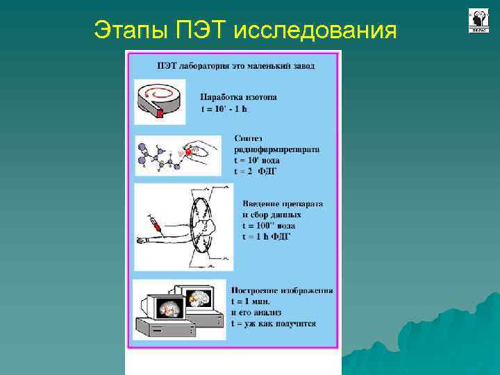 Этапы ПЭТ исследования 