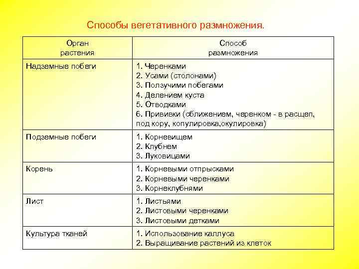 Способы вегетативного размножения. Орган растения Способ размножения Надземные побеги 1. Черенками 2. Усами (столонами)