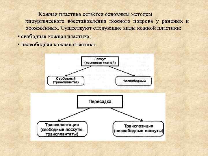 Кожная пластика остаётся основным методом хирургического восстановления кожного покрова у раненых и обожжённых. Существуют