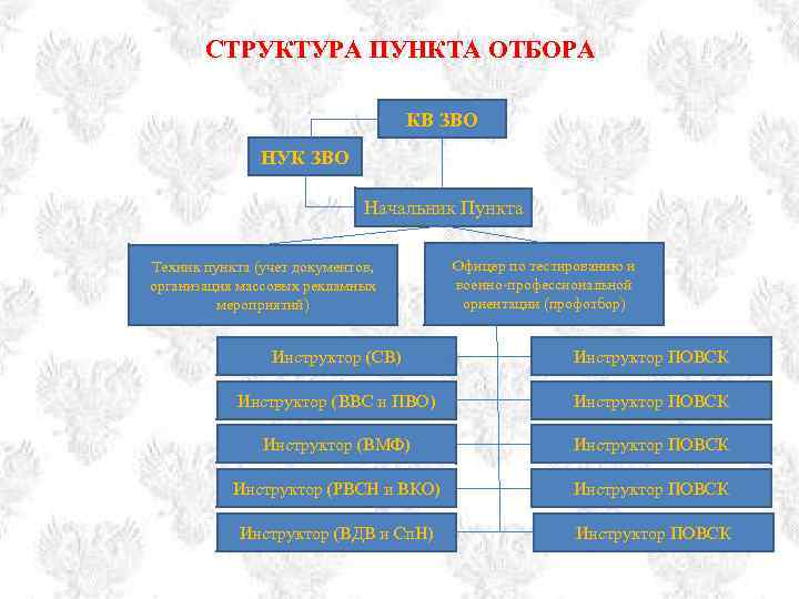 Пункт структура. Структура ЗВО. Структура пунктов. Организационная структура Западного внутригородского округа. Структура тыла ЗВО.