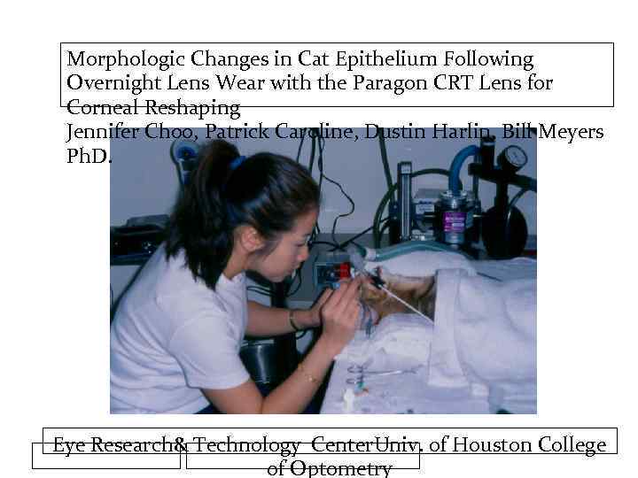 Morphologic Changes in Cat Epithelium Following Overnight Lens Wear with the Paragon CRT Lens