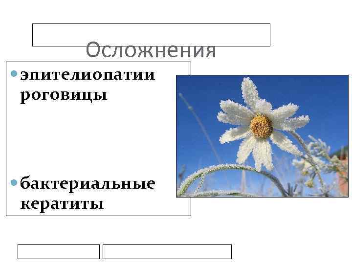 Осложнения эпителиопатии роговицы бактериальные кератиты 