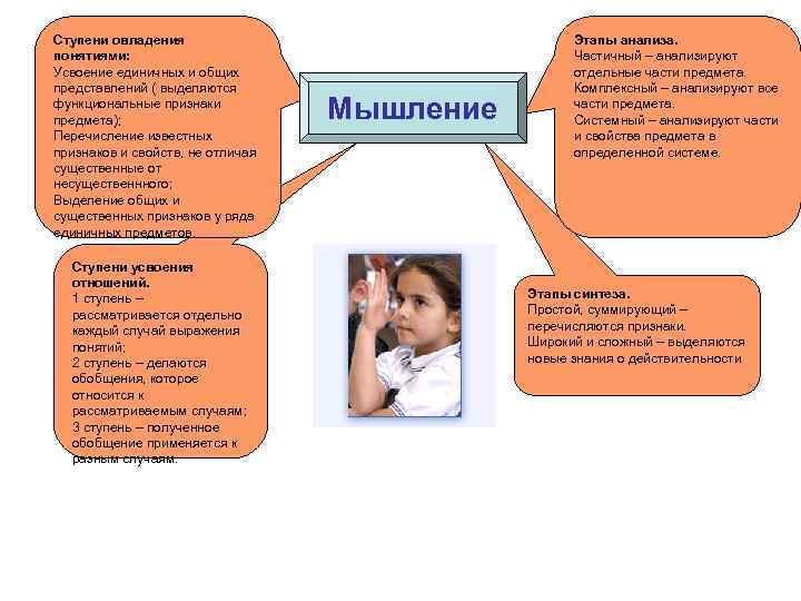 Ступени овладения понятиями: Усвоение единичных и общих представлений ( выделяются функциональные признаки предмета); Перечисление