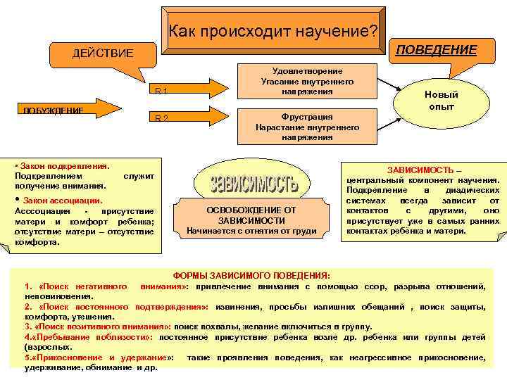 Как происходит научение? ПОВЕДЕНИЕ ДЕЙСТВИЕ R 1 ПОБУЖДЕНИЕ • Закон подкрепления. Подкреплением получение внимания.