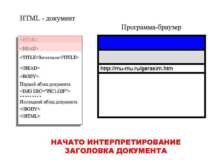 HTML - документ Программа-браузер <HTML> <HEAD> <TITLE>Заголовок</TITLE> </HEAD> http: //mu-mu. ru/gerasim. htm <BODY> Первый