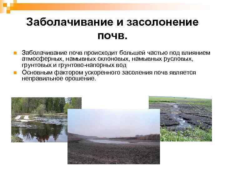 Пример рационального природопользования осушение болот. Засоление и заболачивание почв. Причины засоления и заболачивания почв. Эрозия засоление и заболачивание почв. Защита почв от эрозии, заболачивания.